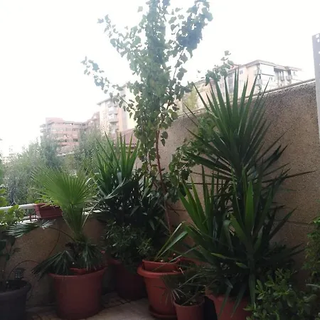 Turístico At-cc-00415 *