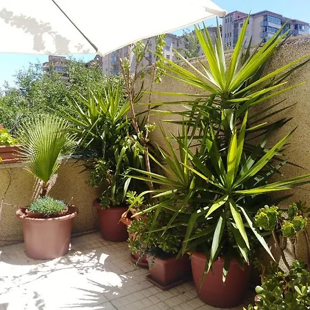 Turístico At-cc-00415 * Caces