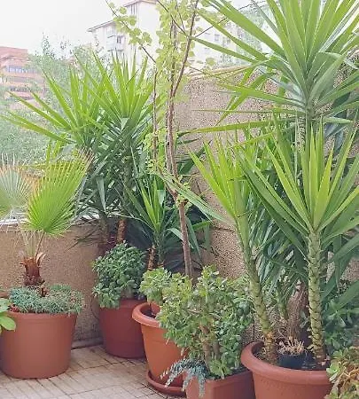 Turístico At-cc-00415 Appartamento *