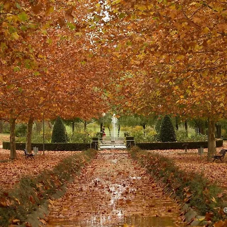 Turistico Principe At-cc-00415 *