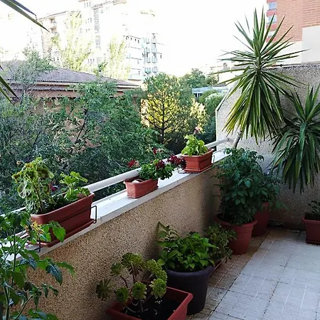 Turístico At-cc-00415 * Caces