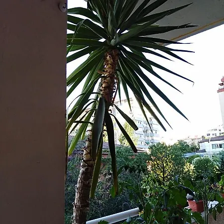 Turístico At-cc-00415 *