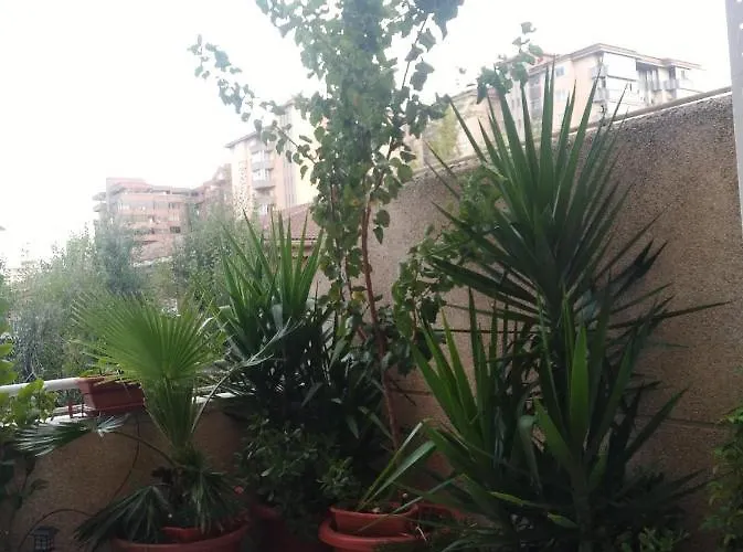 Turistico Principe At-cc-00415 *