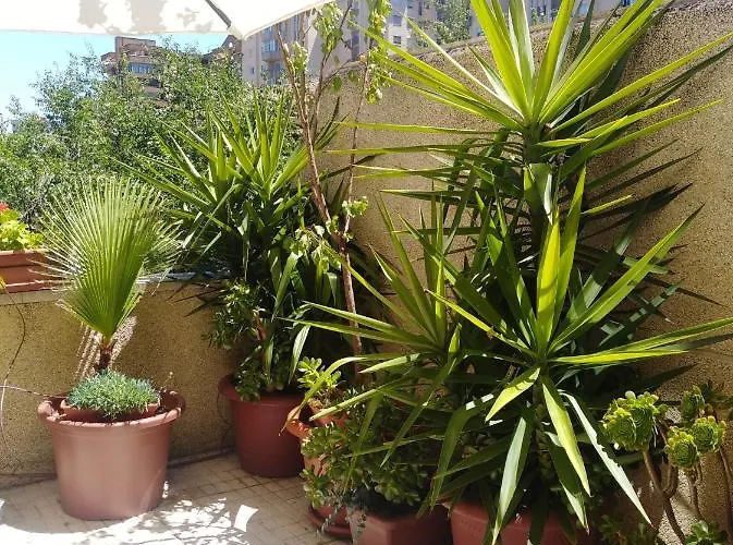 Turistico Principe At-cc-00415 * Caces