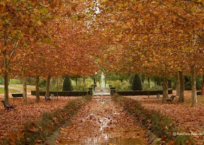 Turistico Principe At-cc-00415 *