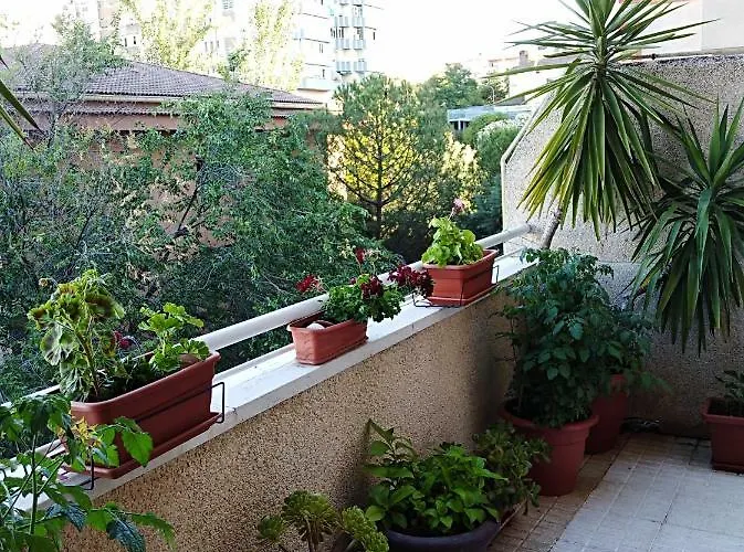 Turístico At-cc-00415 * Caces