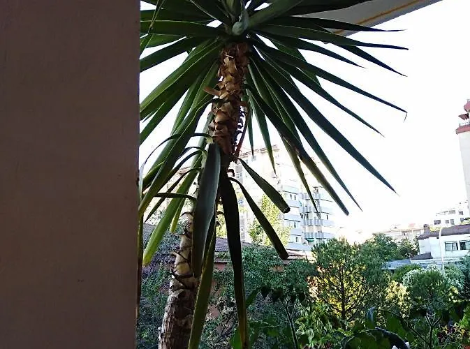 Turístico At-cc-00415 *